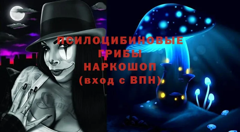 Галлюциногенные грибы Magic Shrooms  МЕГА зеркало  Бабаево 